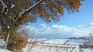 neve-esatta